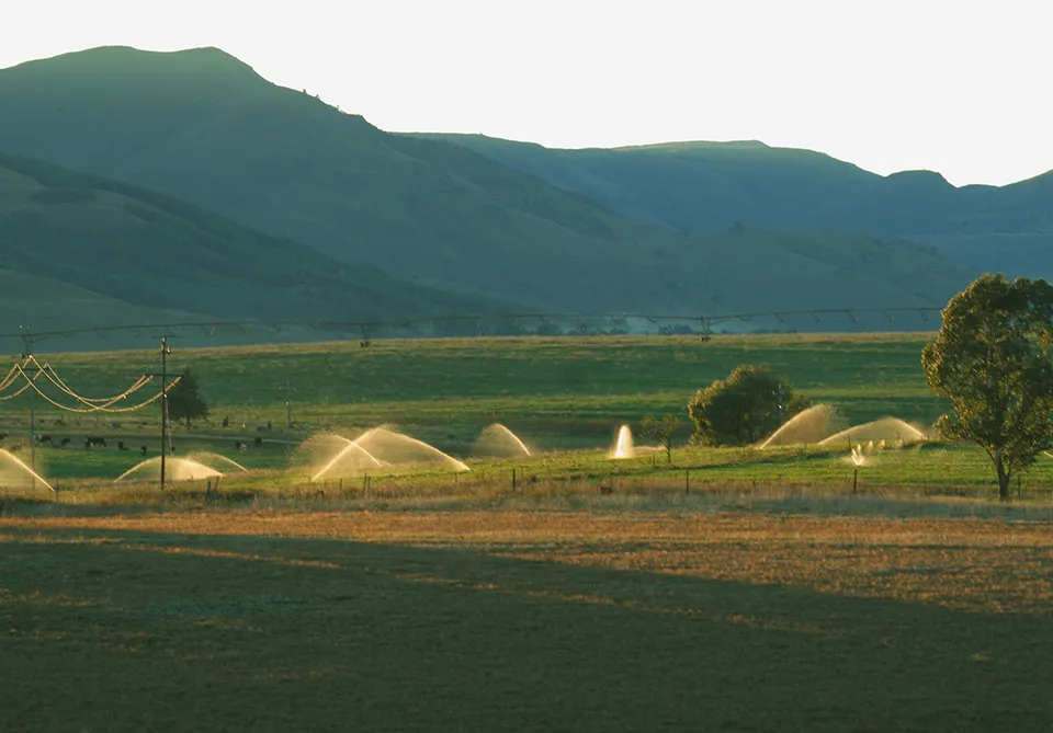 Service Process Service Process