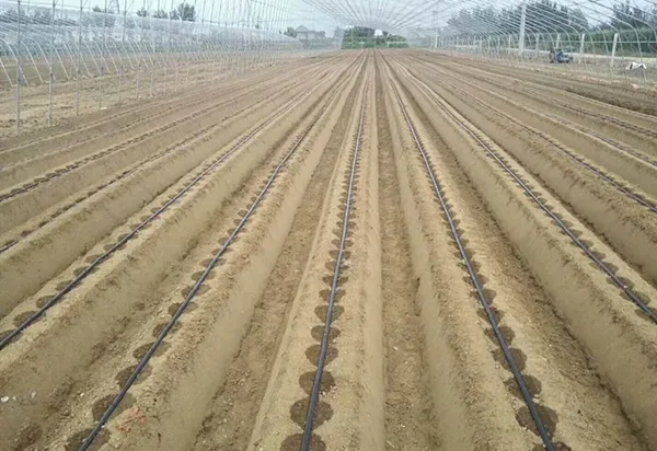 Helping the Hebei Provincial Government in China with its farmland transformation project