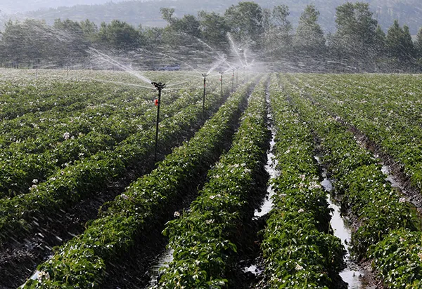 Successful Practice Cases of Agricultural Irrigation Projects in Mountainous Areas