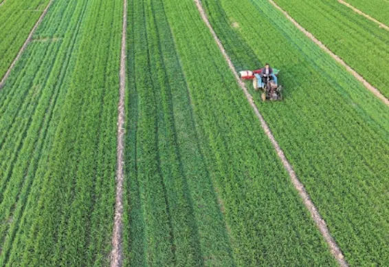 Technical Proposal for a Water-Efficient Irrigation System for a 187.5-Hectare Wheat Farm in Iraq