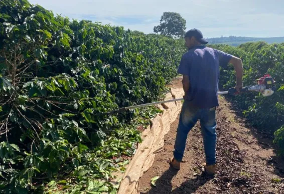 Technical Proposal for Precision Irrigation System, Kerchanshe Coffee, Ethiopia