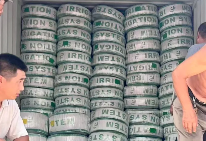 Container loading for Algeria