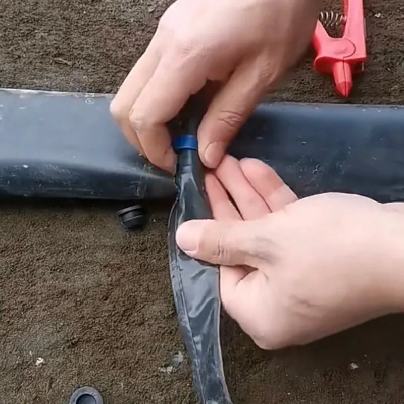 How to Install Drip Irrigation Tape Step by Step