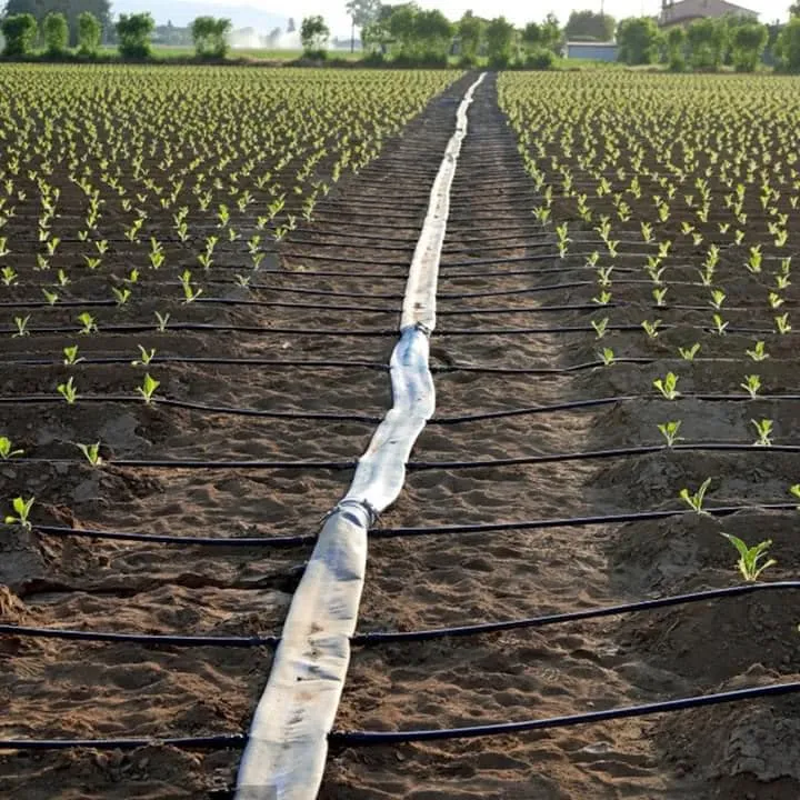 PE Lay Flat Hose Length and Roll Size: What You Need to Know Before Buying