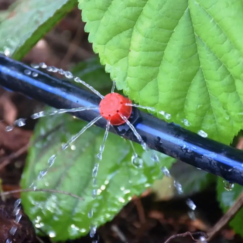 Drip Tape Mistakes to Avoid in Large Agricultural Systems