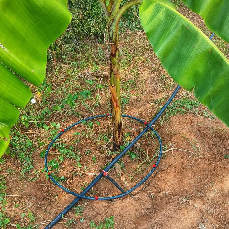 What can I grow using drip irrigation tape?