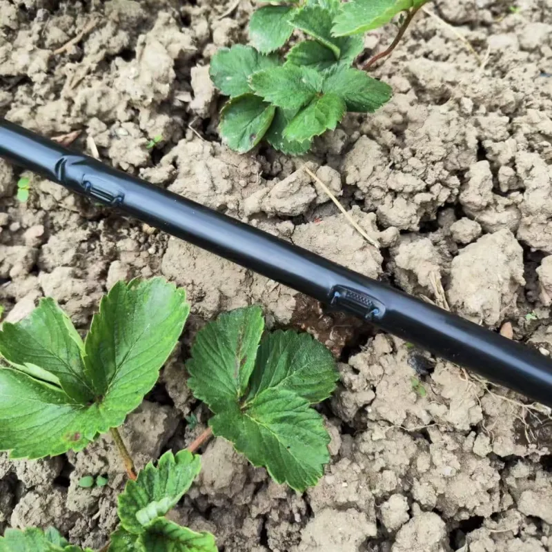 How to Troubleshoot Low Water Pressure in Drip Tape Systems