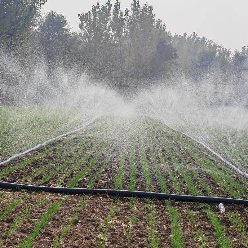 Rain Hose