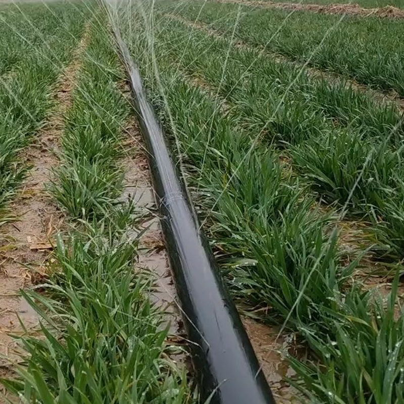 Rain Hose