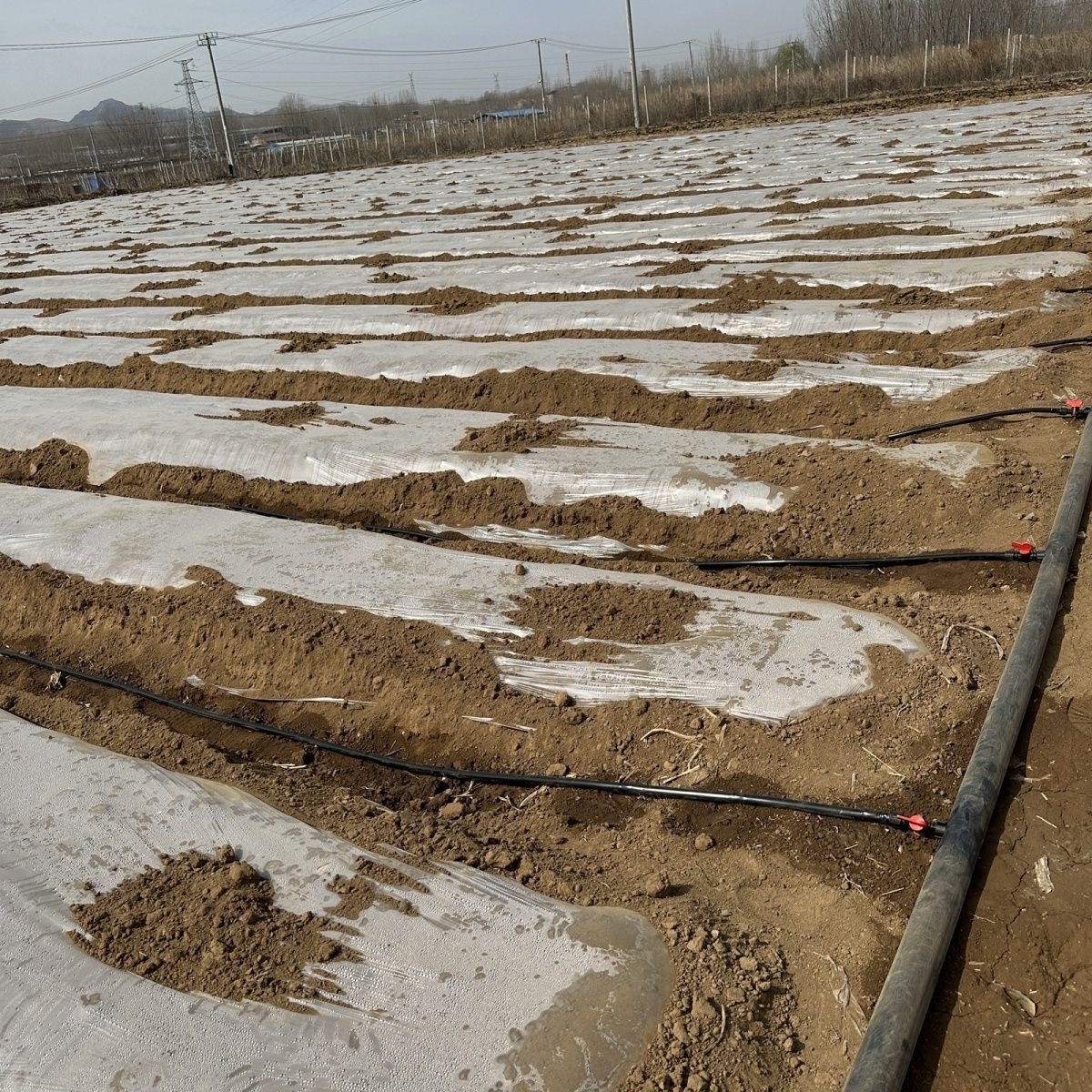 PE Flat Hose