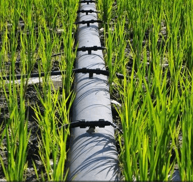 Technical Proposal for a Water-Efficient Irrigation System for a 187.5-Hectare Wheat Farm in Iraq