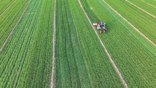 Technical Proposal for a Water-Efficient Irrigation System for a 187.5-Hectare Wheat Farm in Iraq