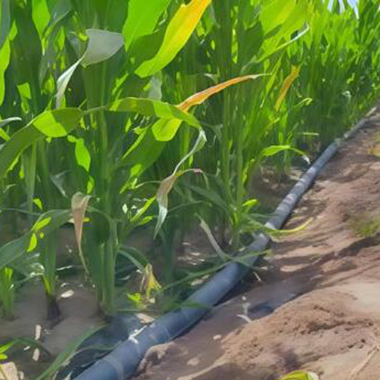 Drip Irrigation Tape vs. Drip Irrigation Tubing: What’s the Difference?cid=10