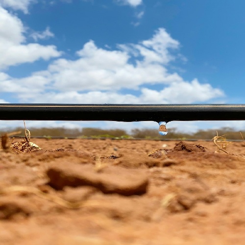 Complete Guide to Drip Irrigation Systems