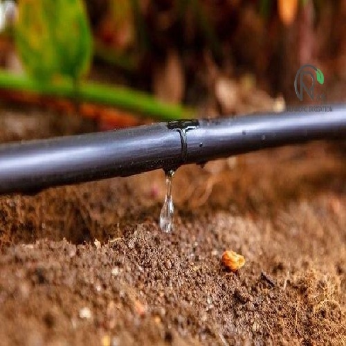 Complete Guide to Drip Irrigation Systems