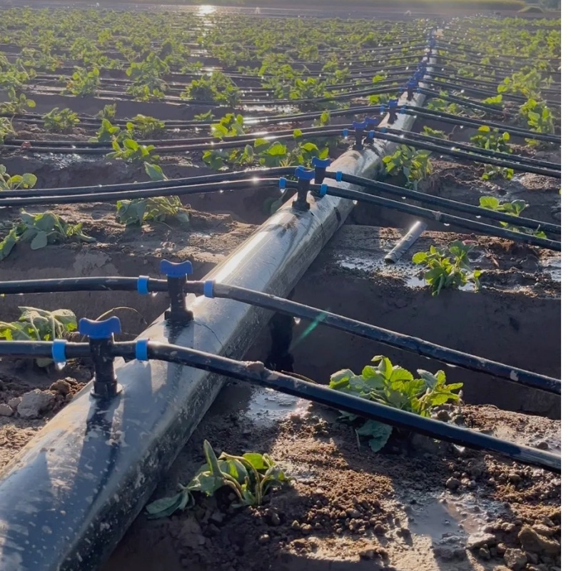 How to Install Drip Irrigation Tape Step by Step