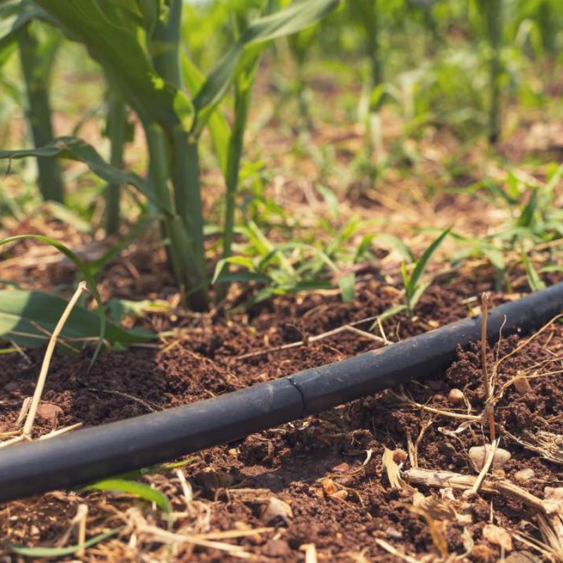 How to Choose the Right Drip Irrigation System Supplier