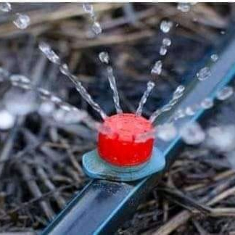 Drip Tape Mistakes to Avoid in Large Agricultural Systems