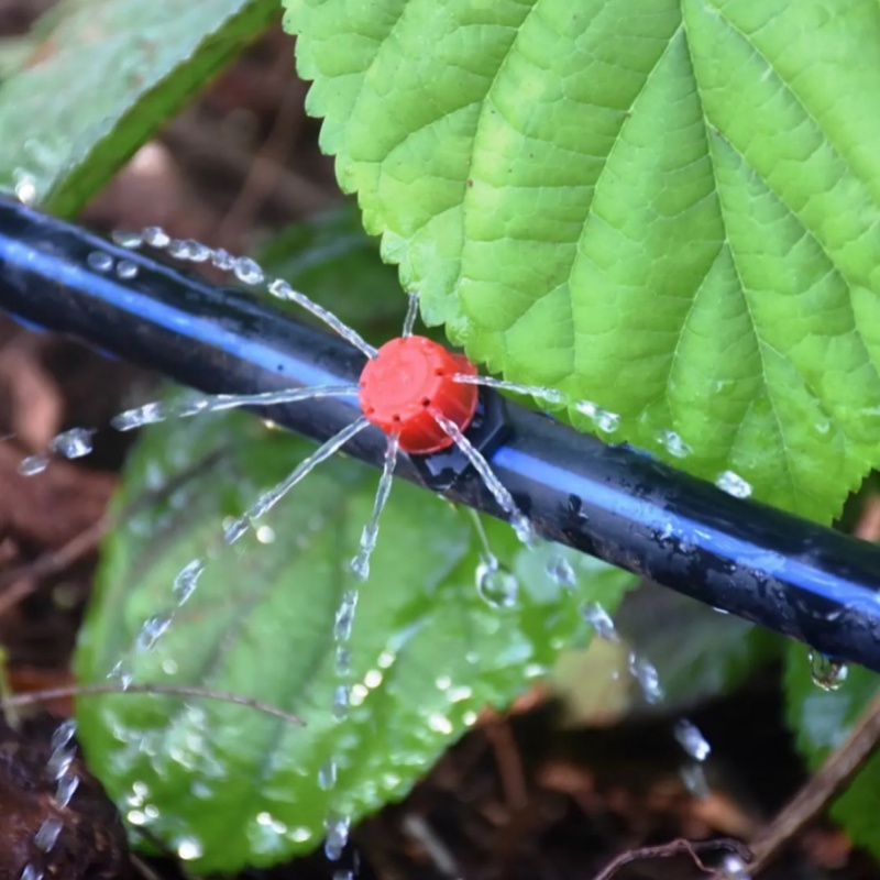 Drip Tape Mistakes to Avoid in Large Agricultural Systems