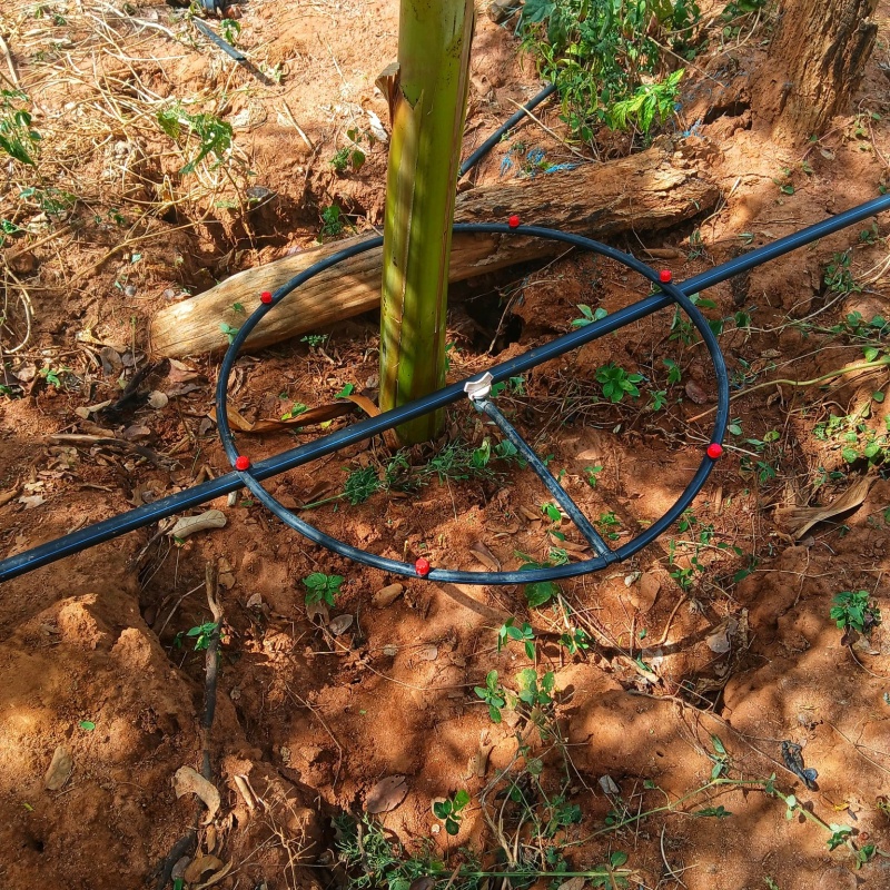 How to Connect Drip Tape to Your Main Water Source and Filters